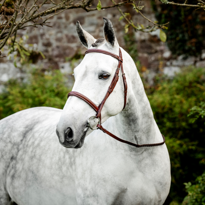 Horseware Hunter Cavesson Bridle w/reins