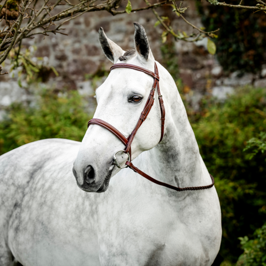 Horseware Hunter Cavesson Bridle w/reins