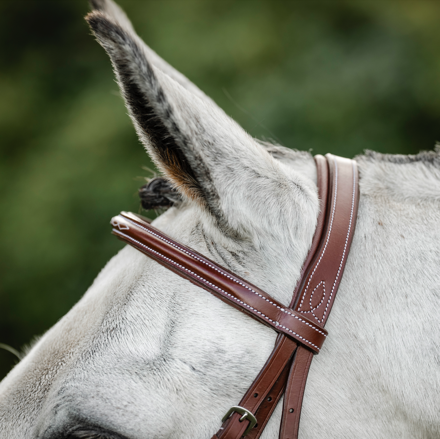 Horseware Hunter Cavesson Bridle w/reins