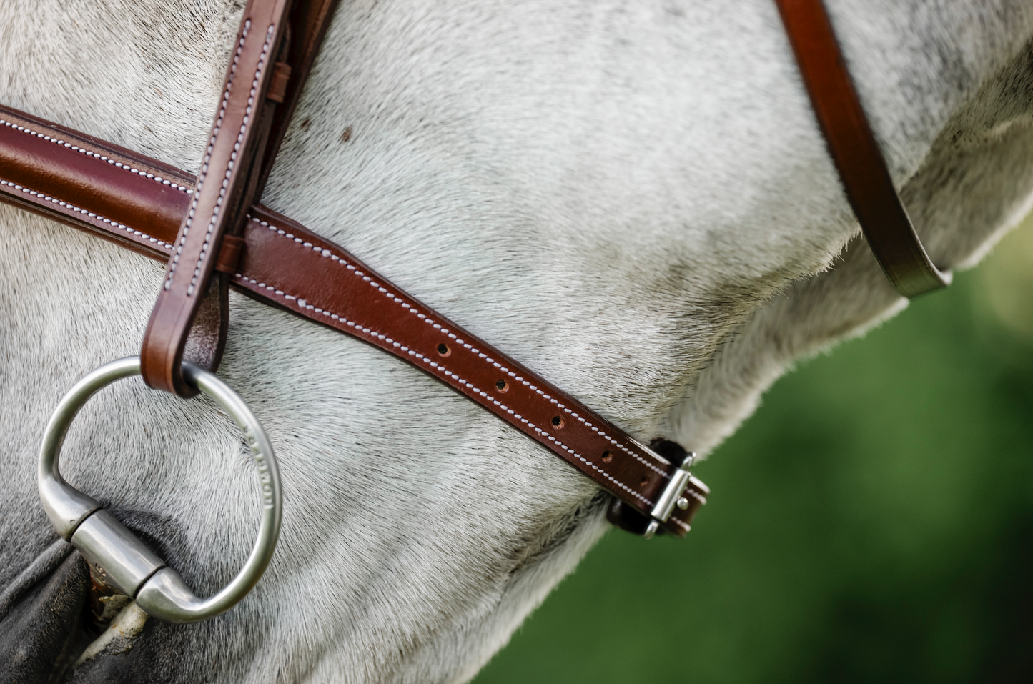 Horseware Hunter Cavesson Bridle w/reins