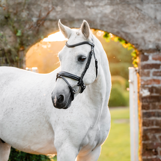 Horseware Pony  Flash Bridle
