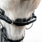 Horseware Pony  Flash Bridle