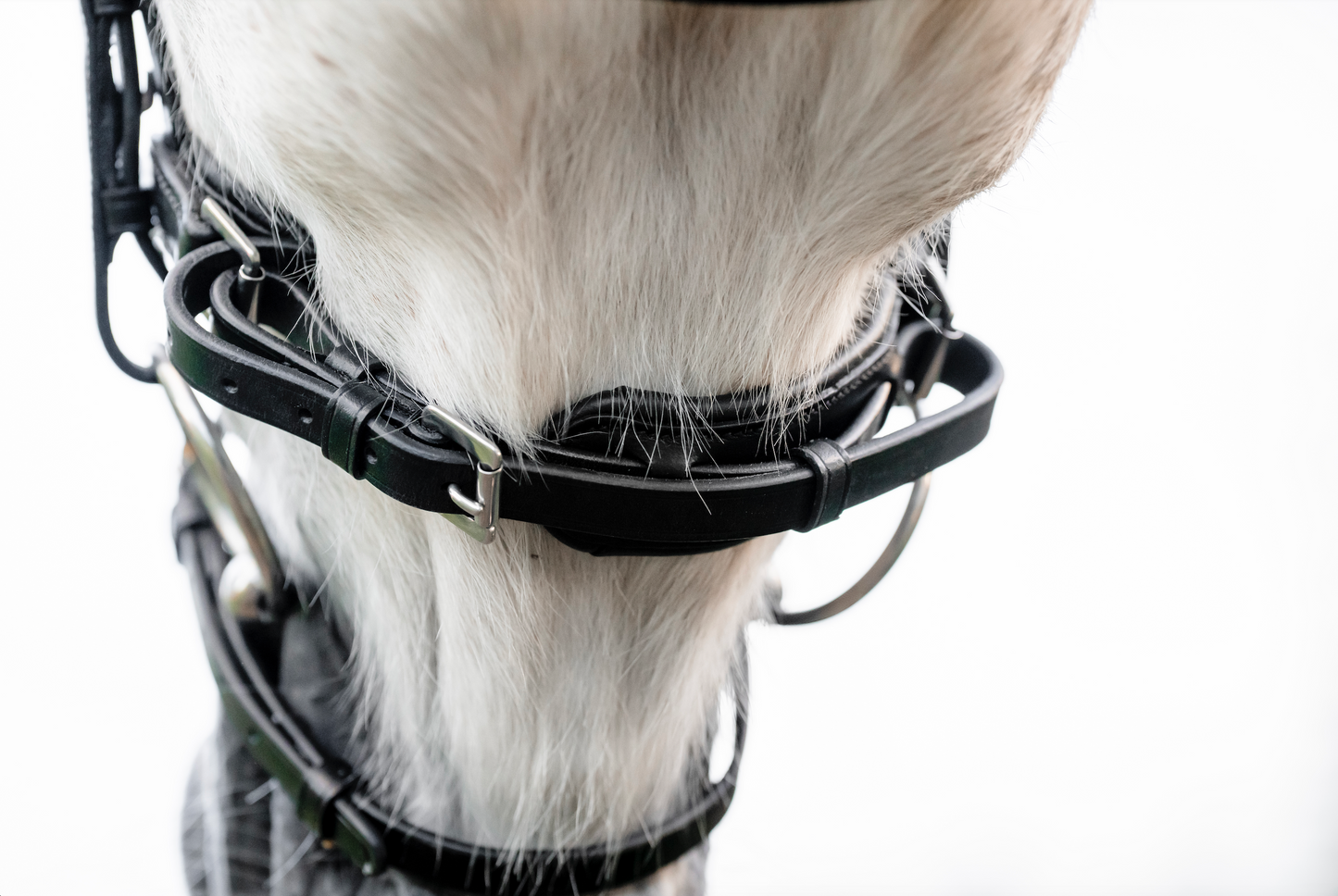 Horseware Pony  Flash Bridle