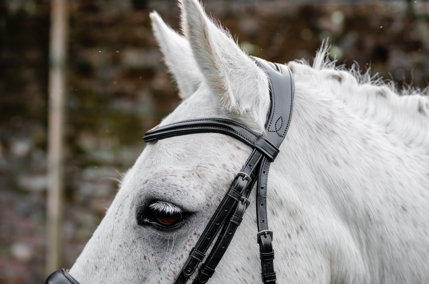 Horseware Pony  Flash Bridle