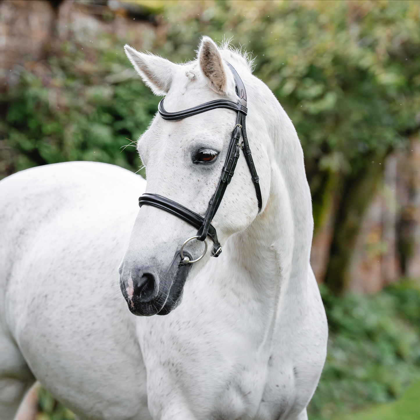 Horseware Pony Cavesson Bridle