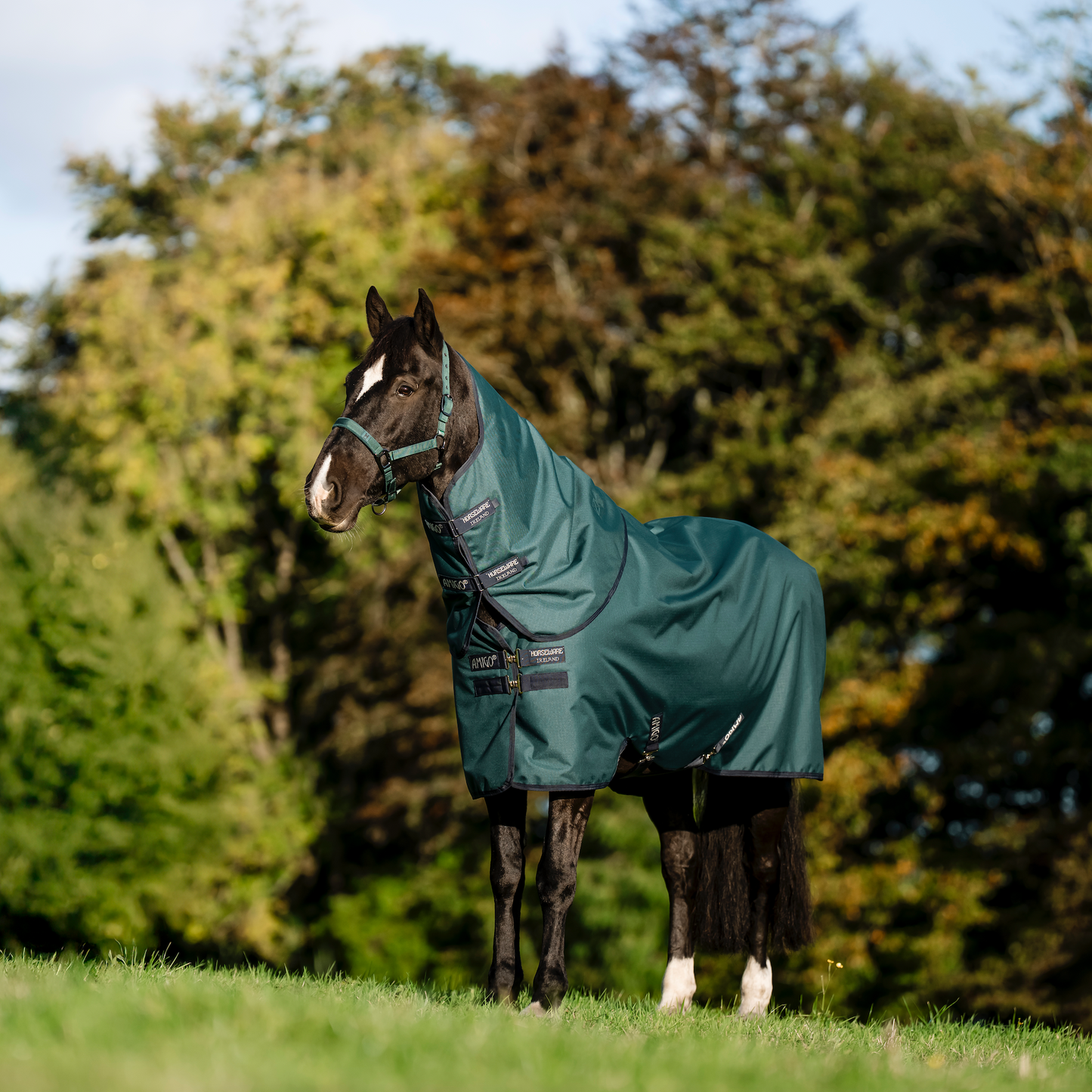 Amigo Ripstop 900D Plus Turnout 100g