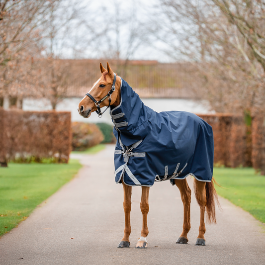 Amigo 1200D Integrated Turnout 0g