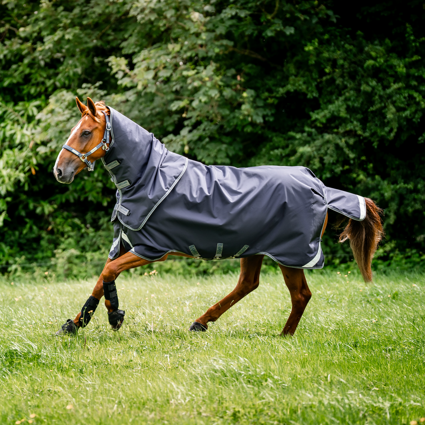 Rambo Duo Ripstop Plus Turnout Bundle