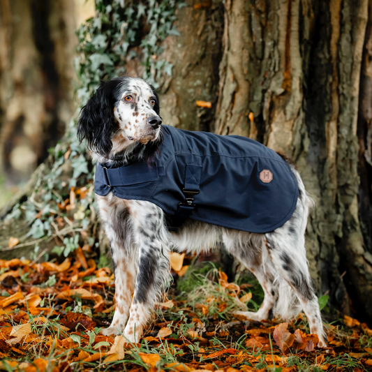Horseware Newmarket Heritage Dog Coat