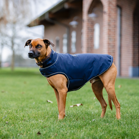 Horseware Signature Dog Rain Coat 100g