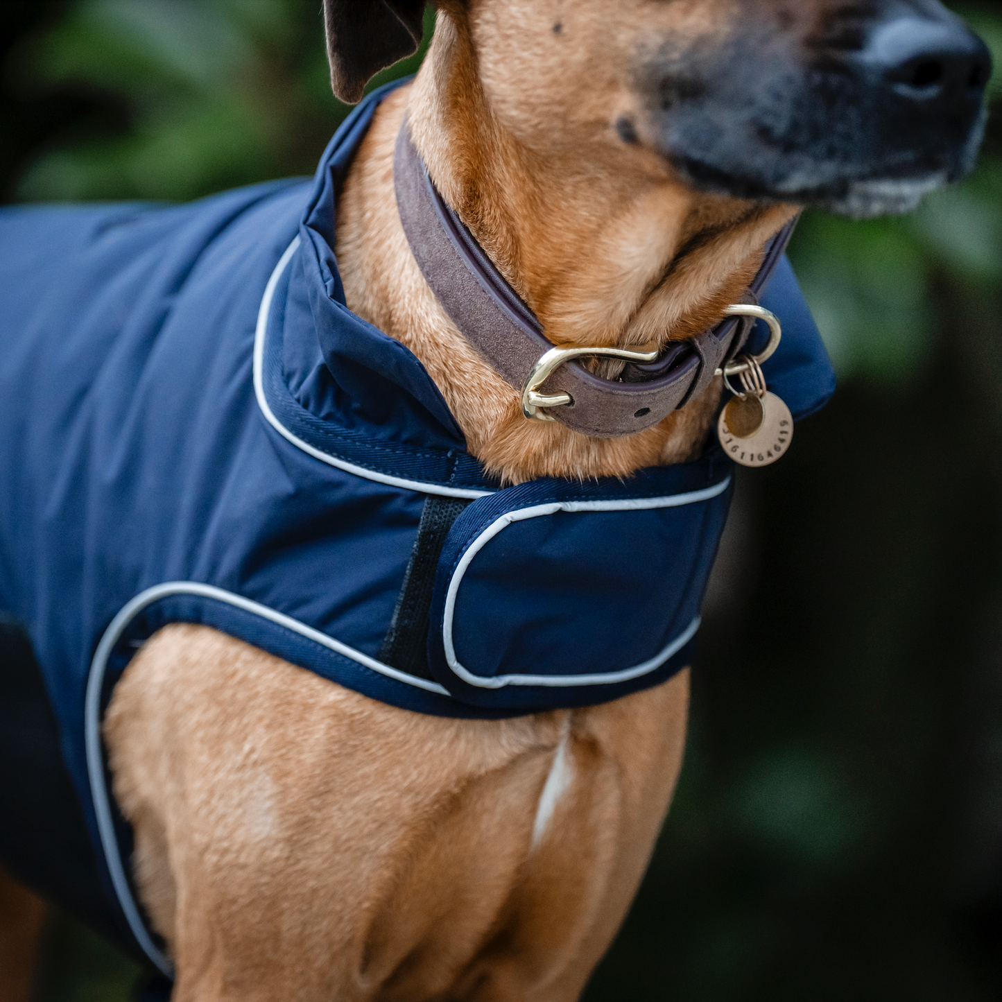 Horseware Signature Dog Rain Coat 100g