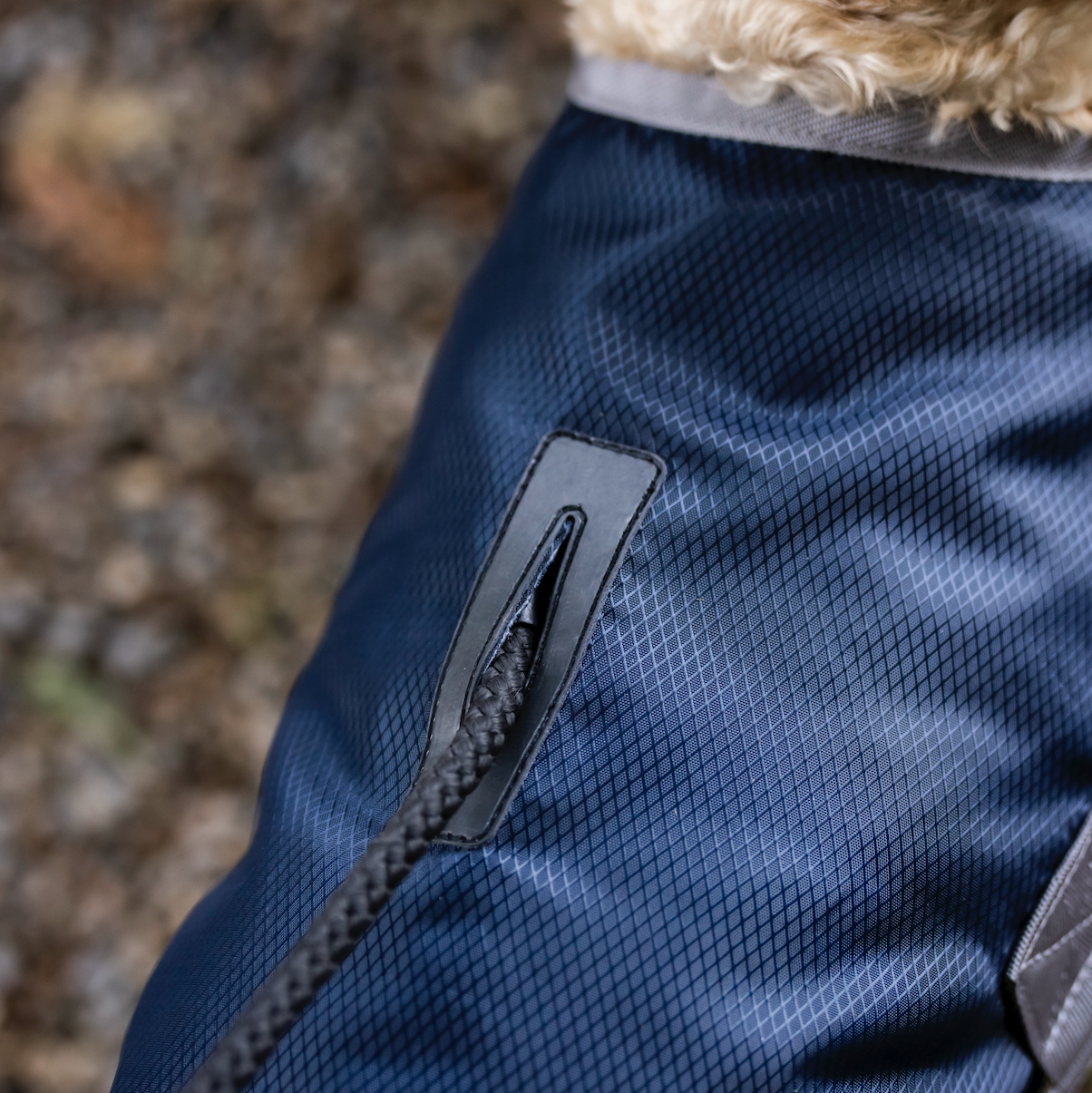 Horseware Ionic Therapy Dog Coat 50g