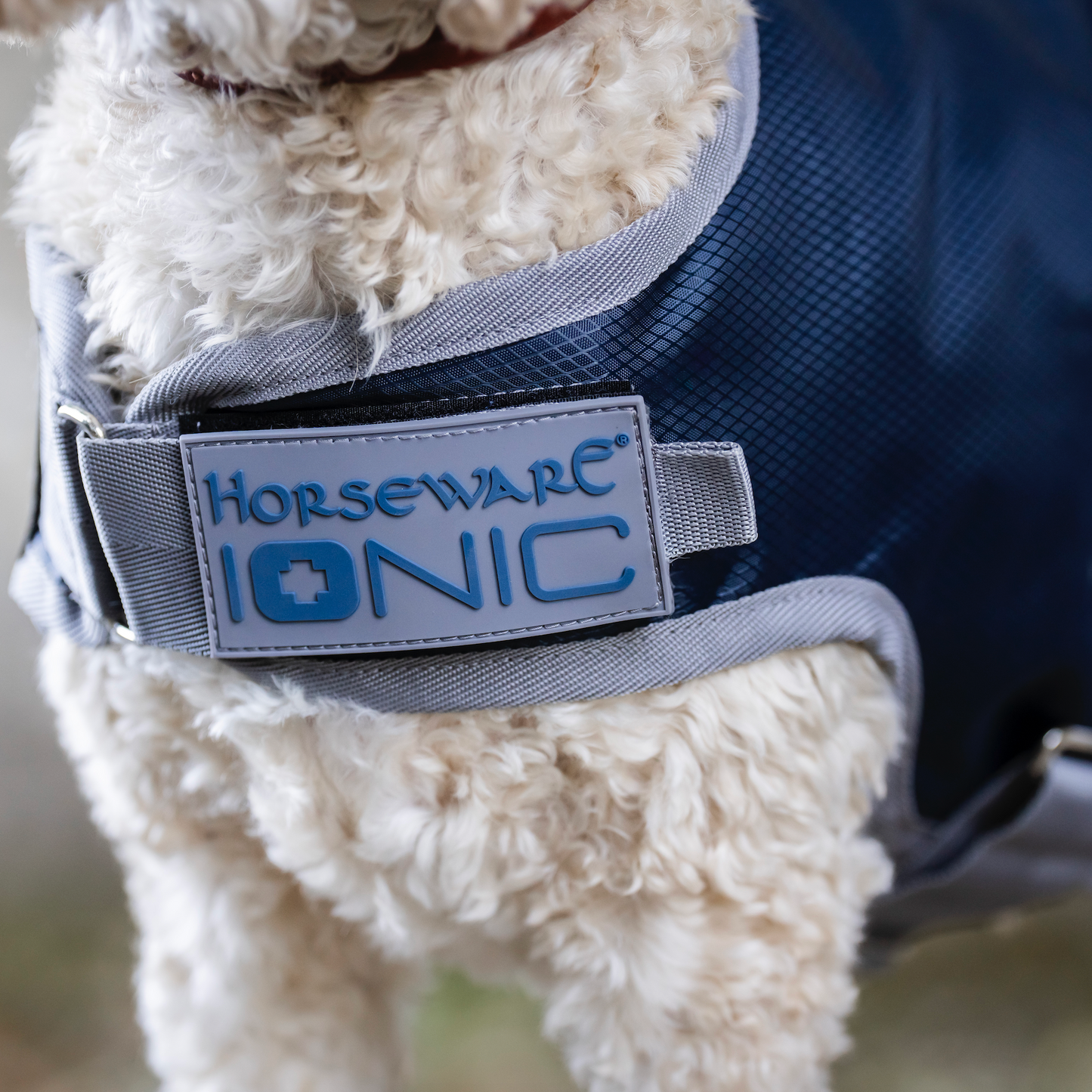 Horseware Ionic Therapy Dog Coat 50g