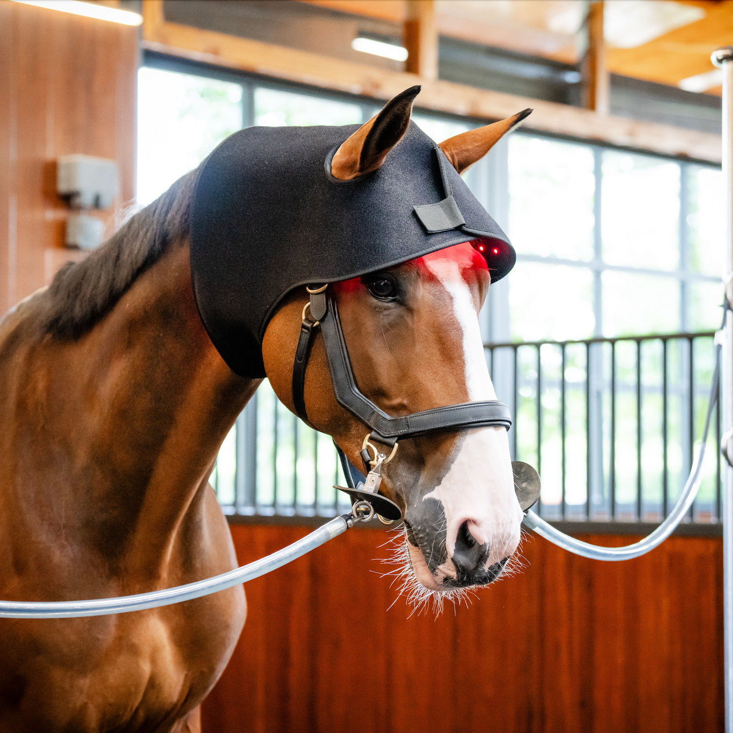 Horseware LED Red Light Therapy Poll Cap