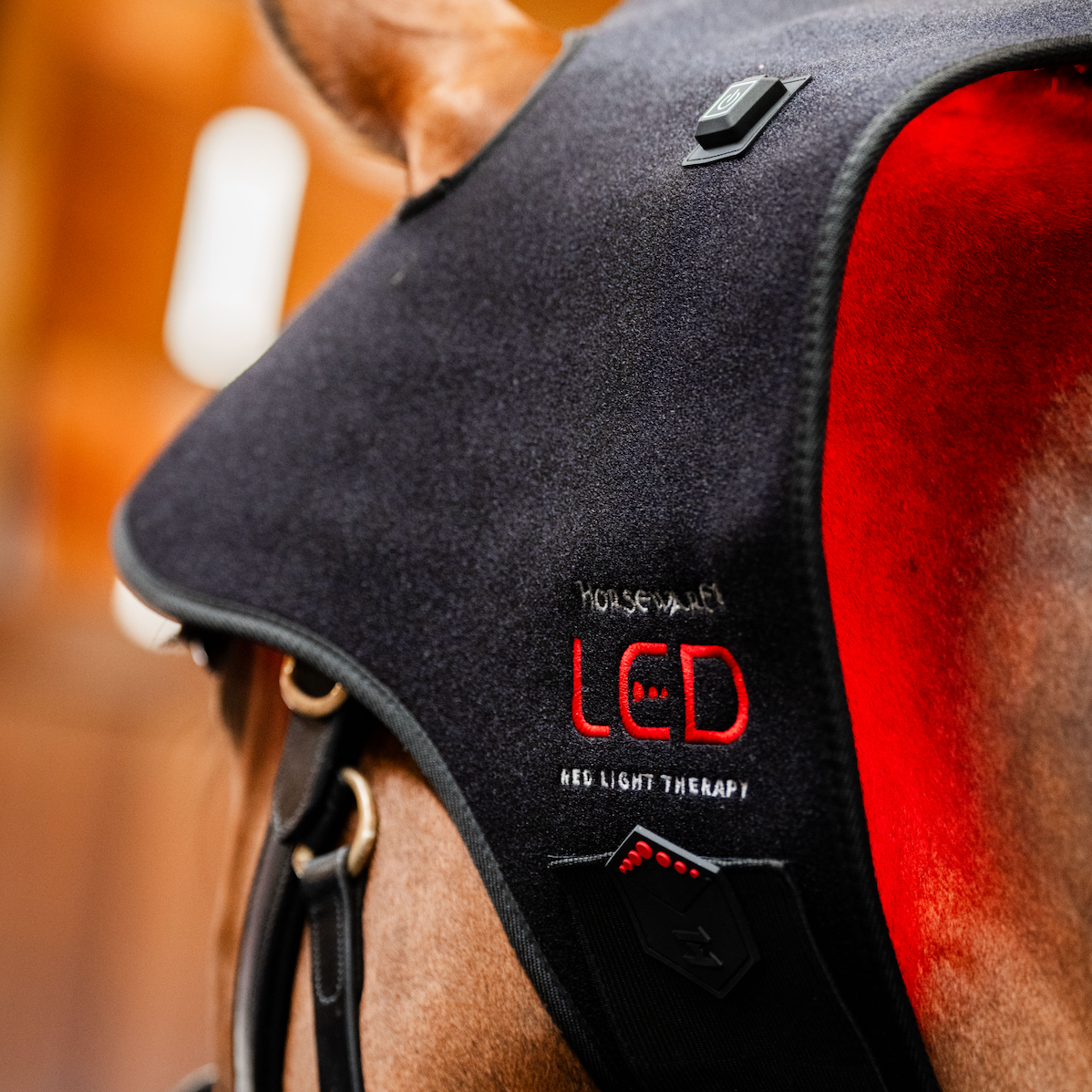 Horseware LED Red Light Therapy Poll Cap