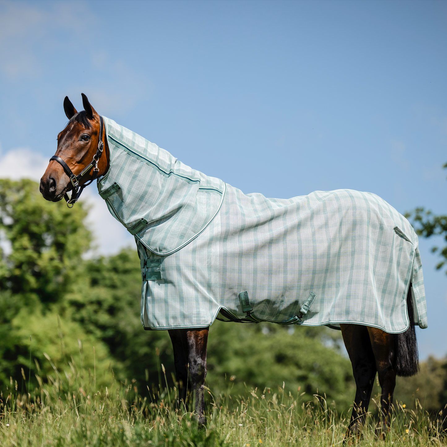 Horseware Newmarket Plus Fly Sheet