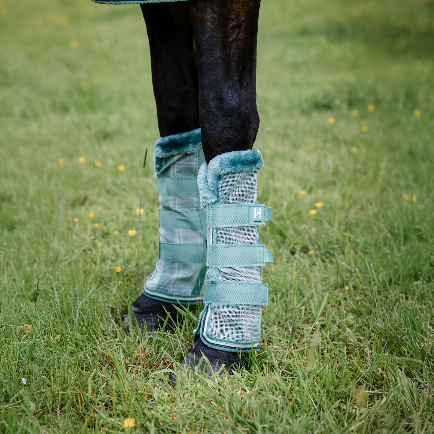 Horseware Newmarket Fly Boots - Set of 2