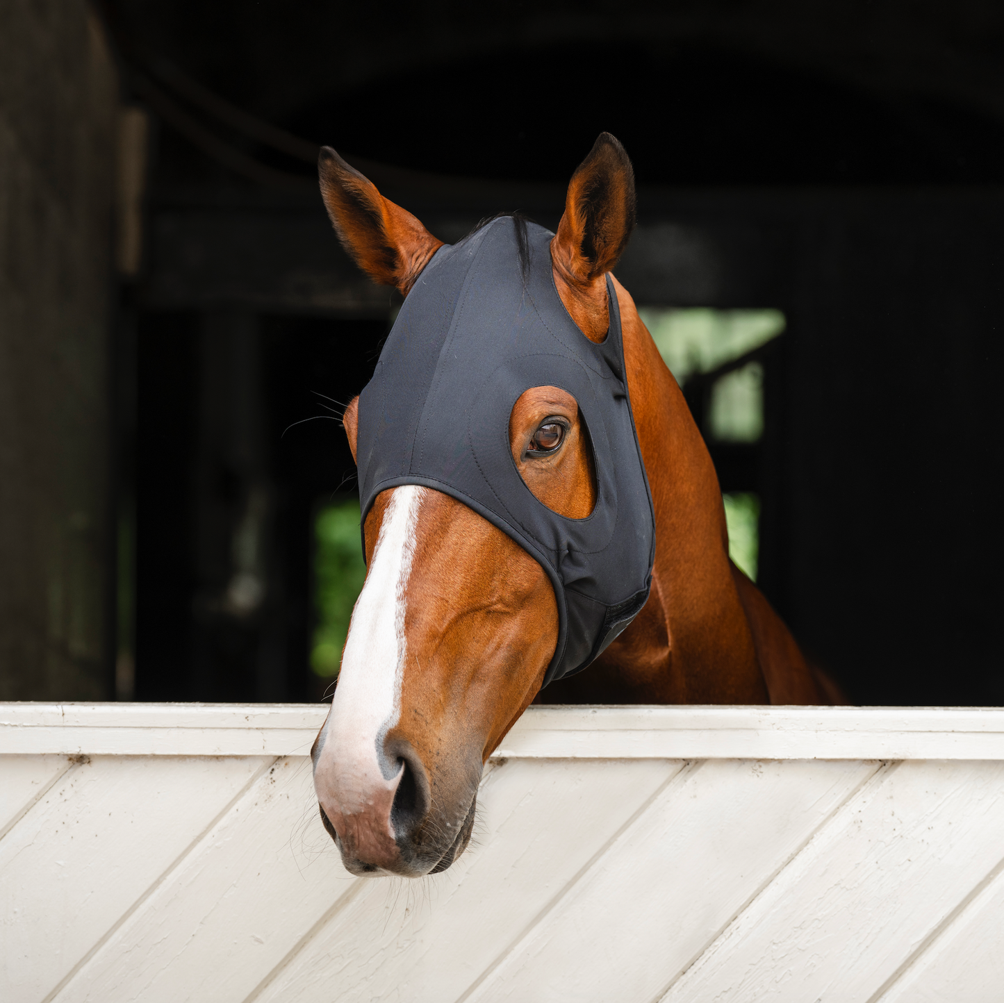 Horseware Ionic Calming Face Mask