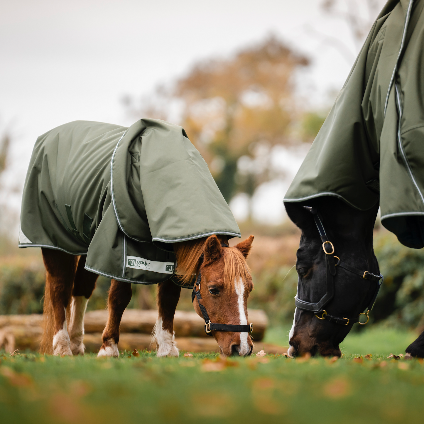 LE Boxter Pony Turnout 50g