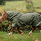 LE Boxter Pony Turnout 50g