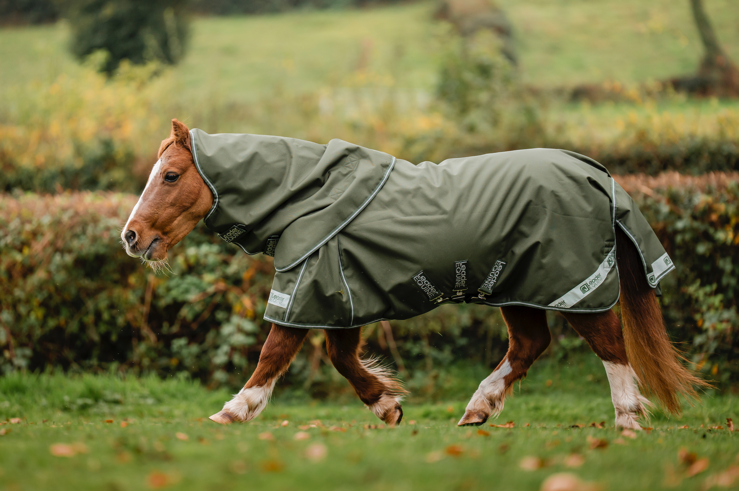 LE Boxter Pony Turnout 50g