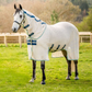 Amigo Bug Buster Fly Sheet