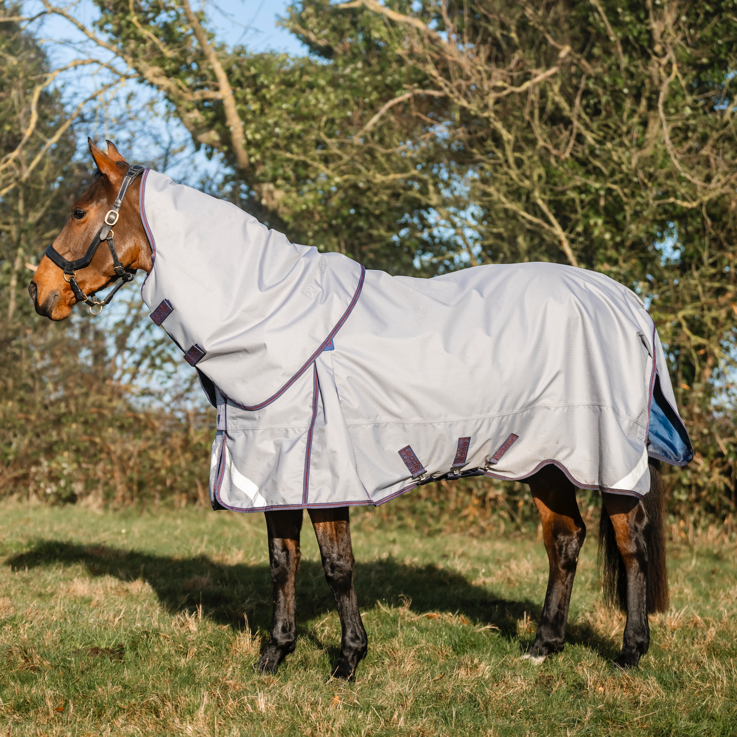 LE Boxter Turnout Ripstop 50g
