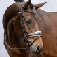 PSOS Bridle GP