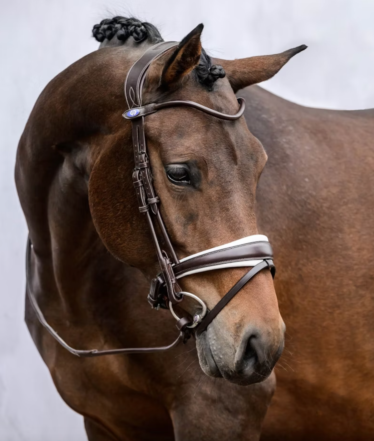 PSOS Bridle GP