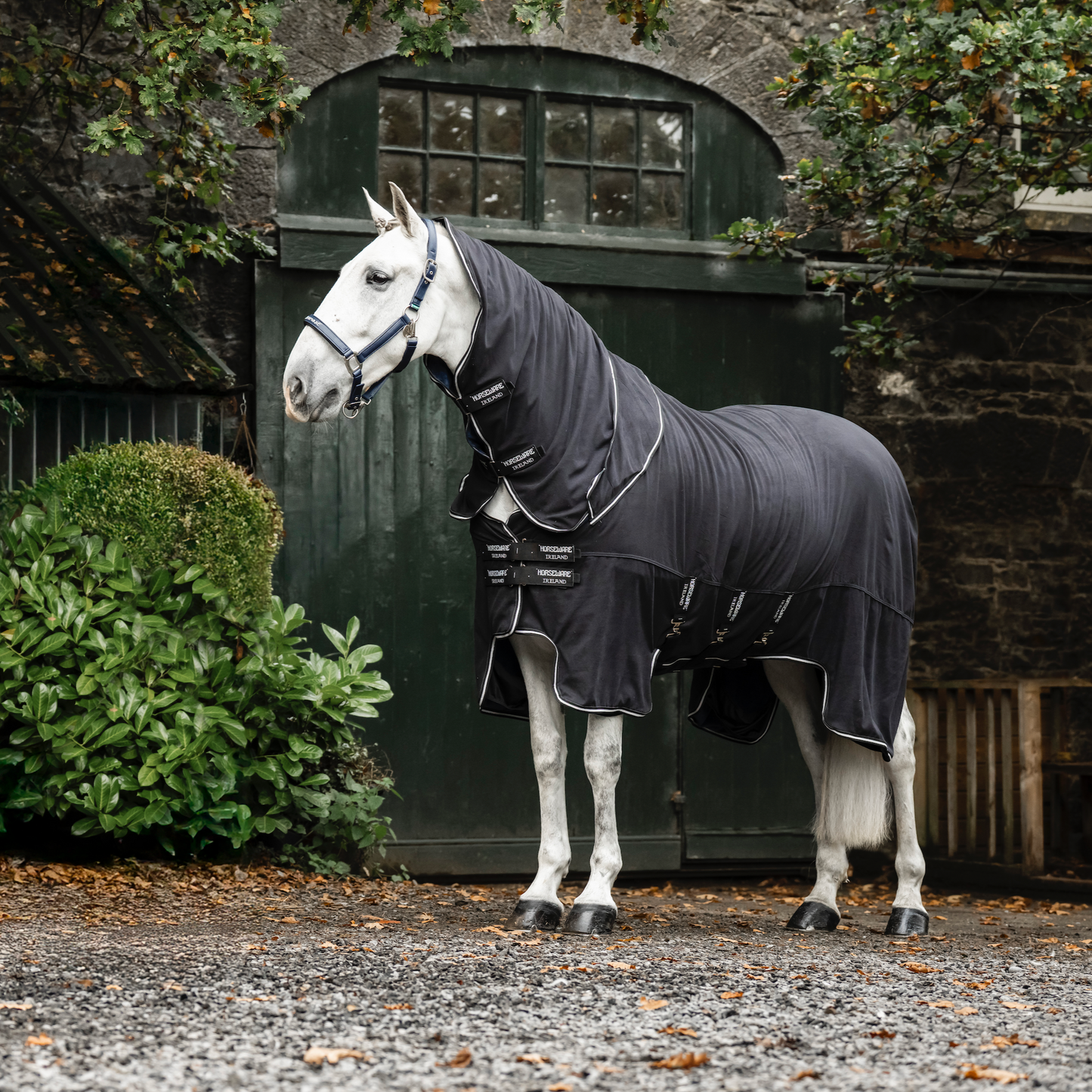Horseware Show Ready Rug