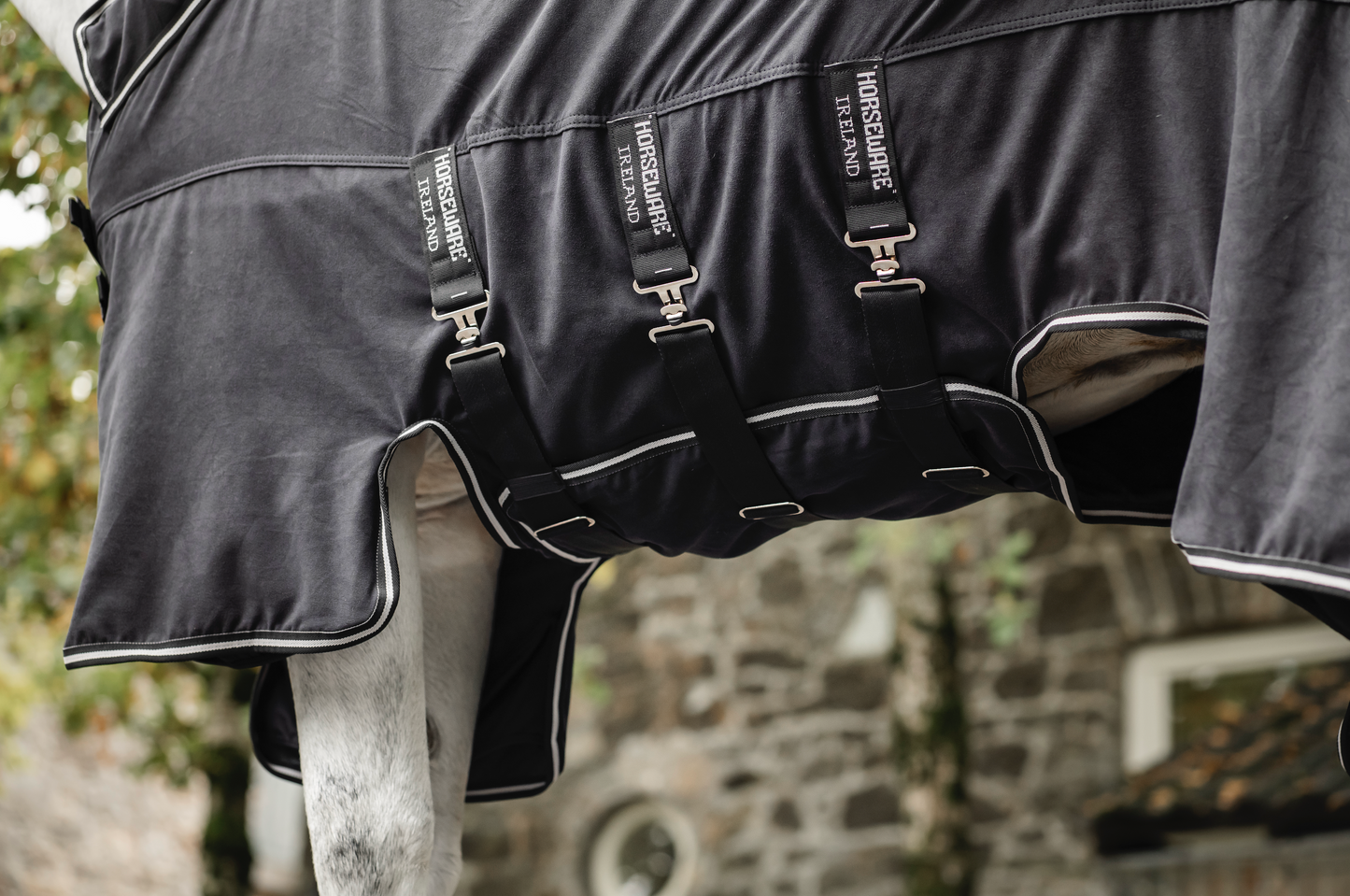 Horseware Show Ready Rug