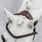 PSOS Bridle Stockholm