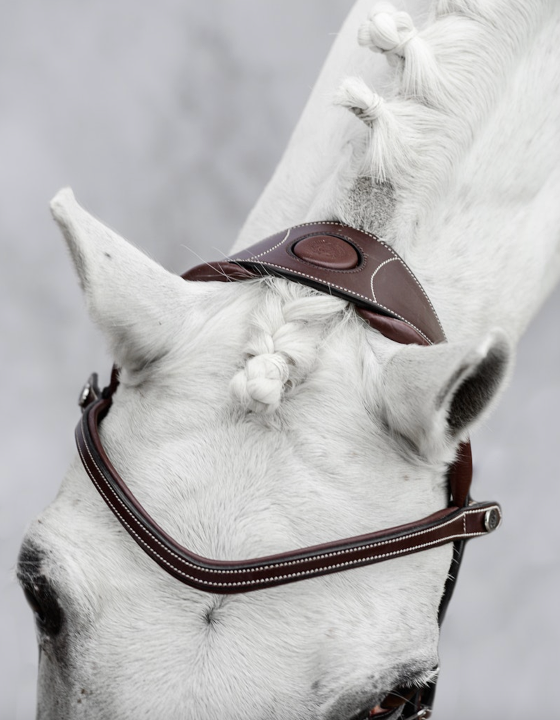 PSOS Bridle Stockholm