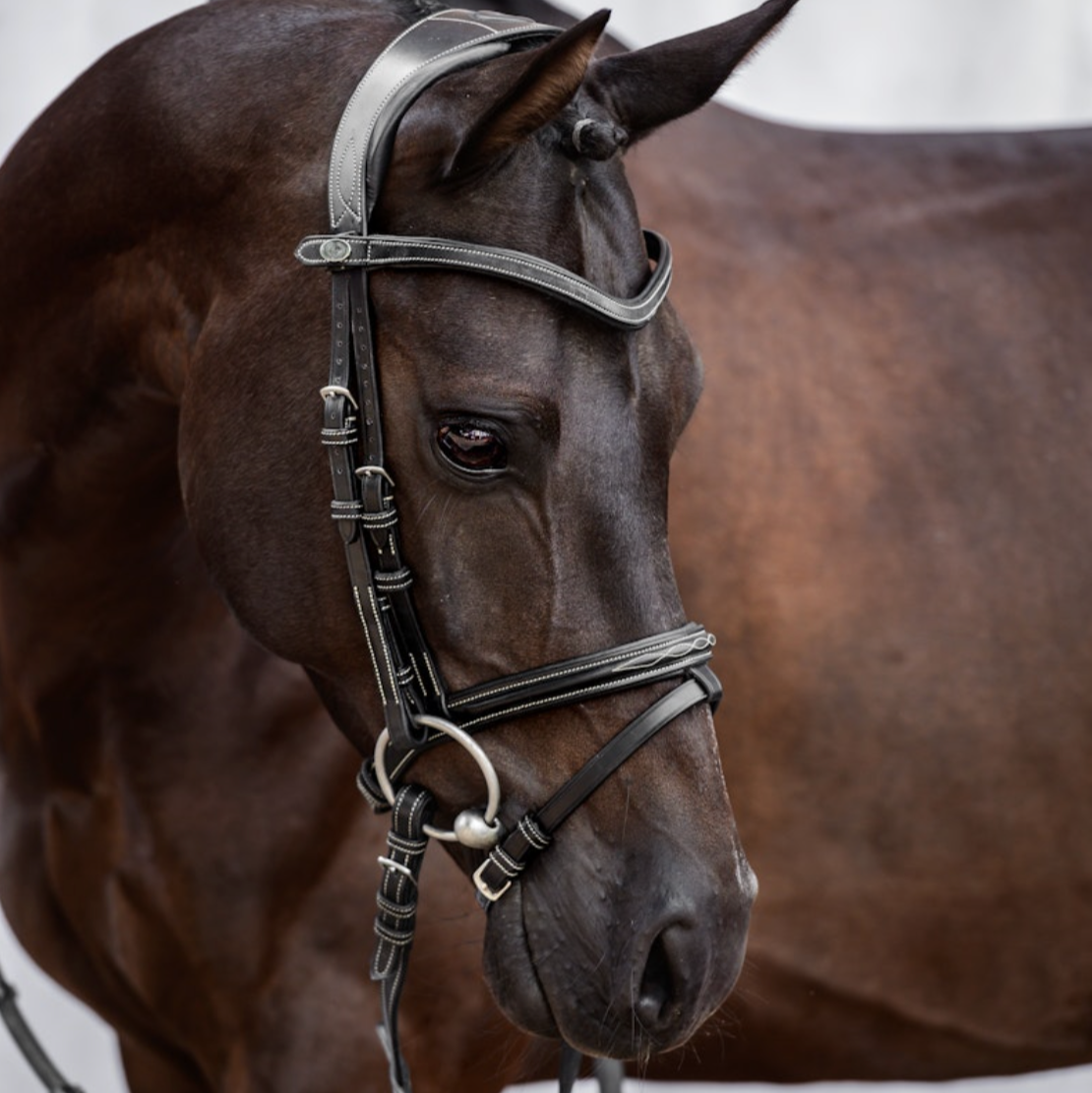 PSOS Bridle Stockholm