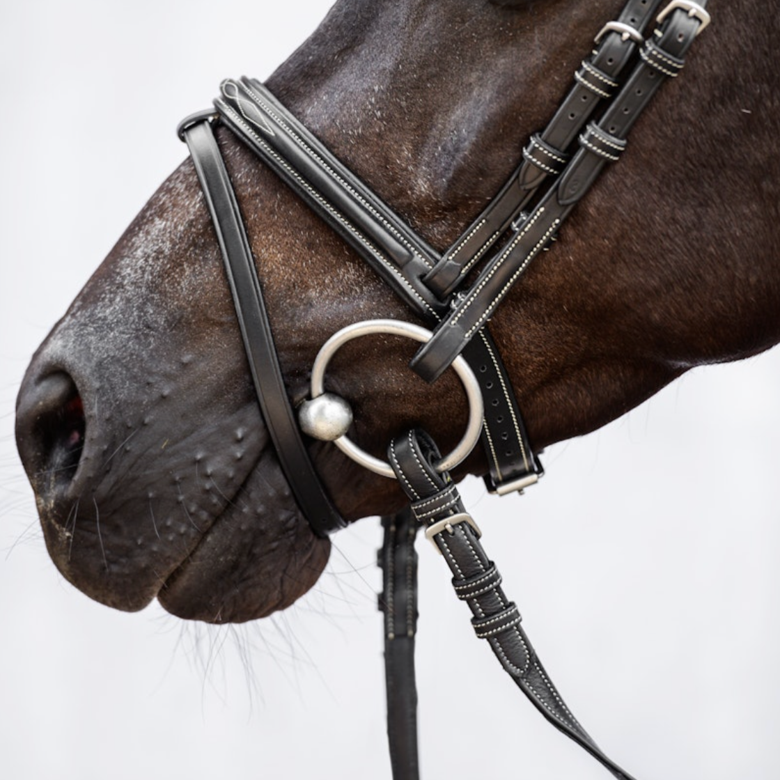 PSOS Bridle Stockholm