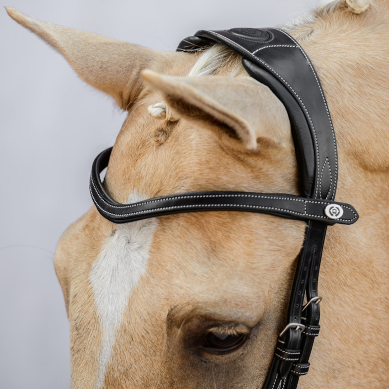 PSOS Bridle Athens