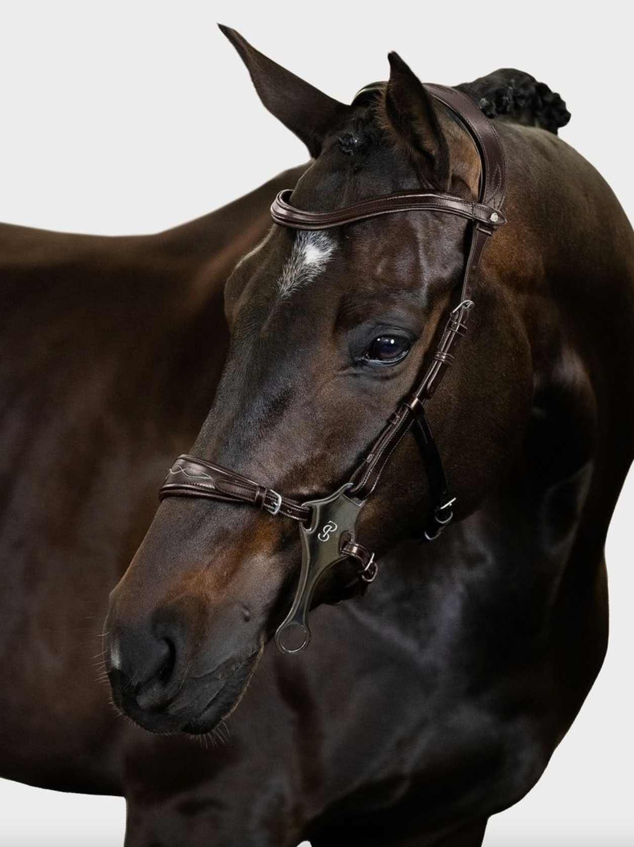 PSOS Bridle Hackamore Sport