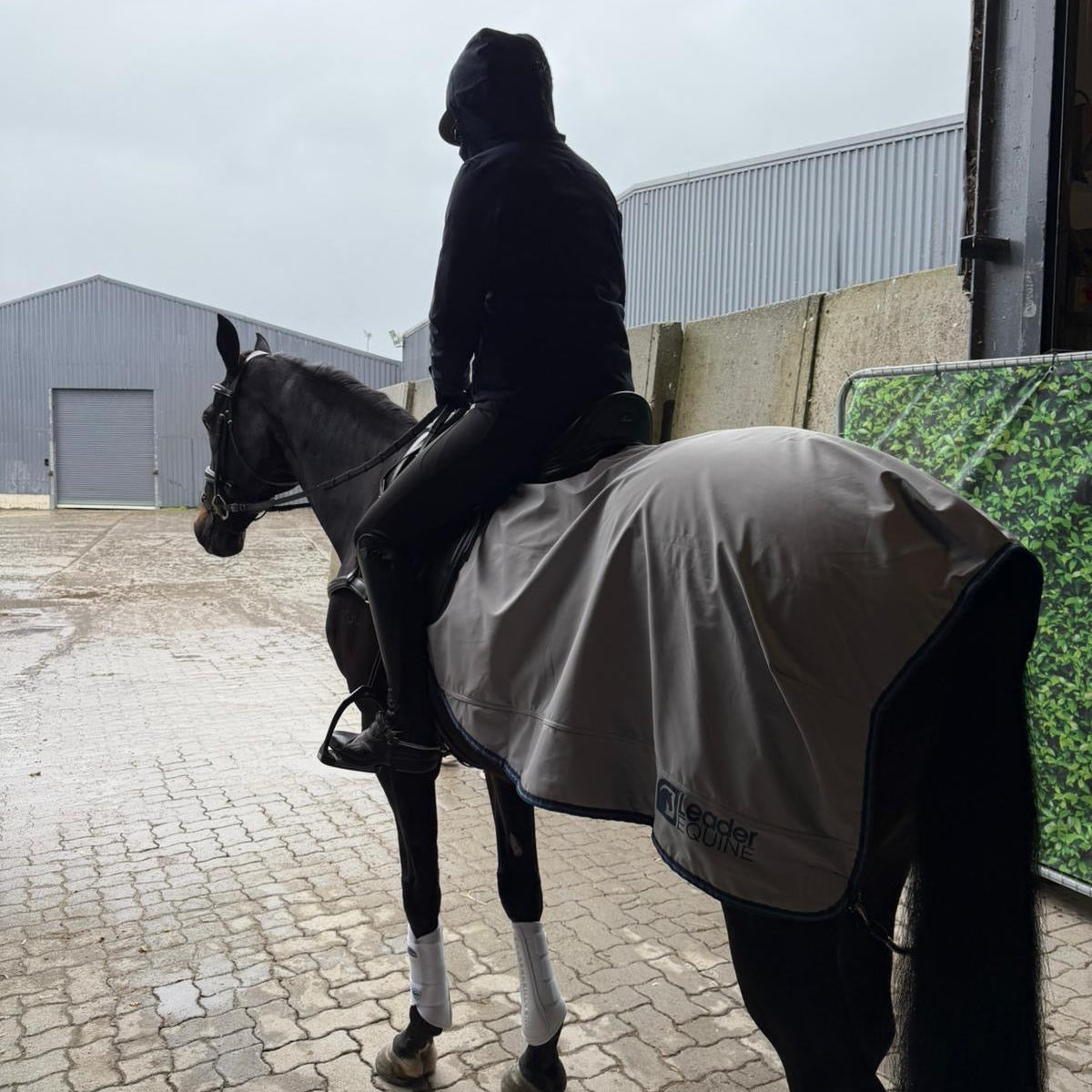 person riding a horse with a waterproof exercise sheet covering the hindquarters