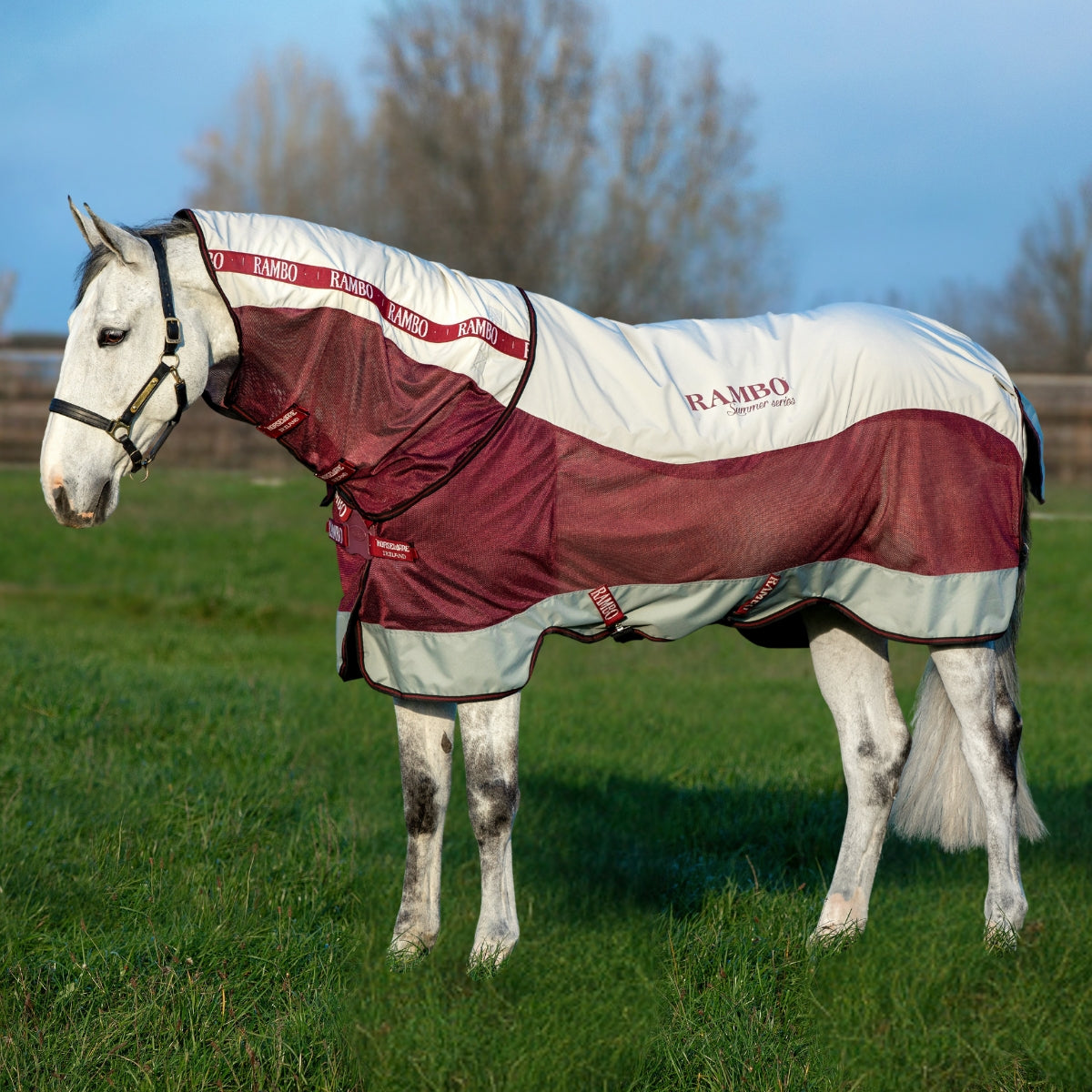 Rambo Summer Series Disc Front