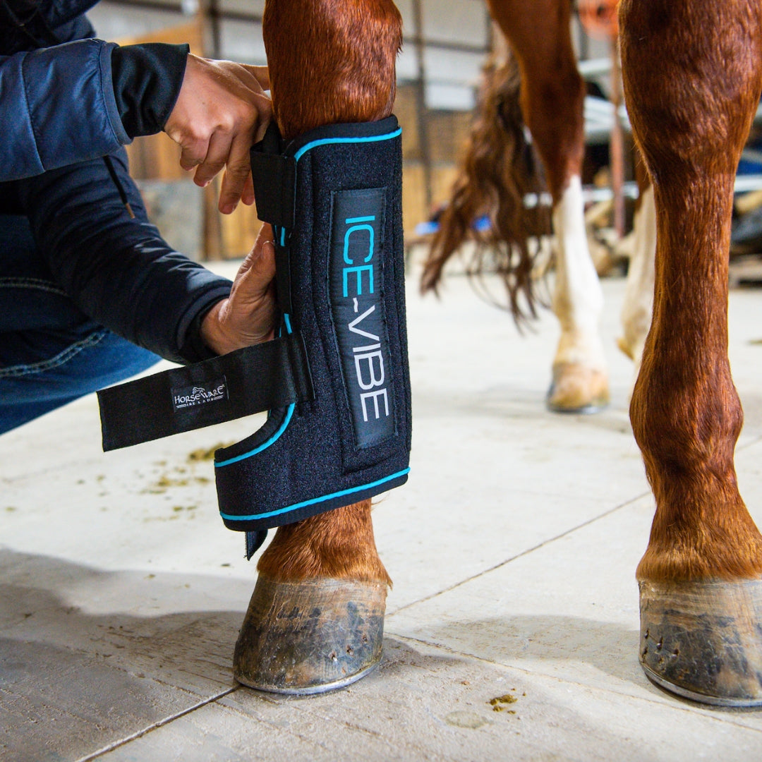 Ice Vibe Therapy Leader Equine