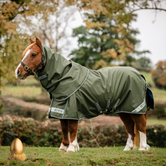 LE Boxter Pony Turnout 50g