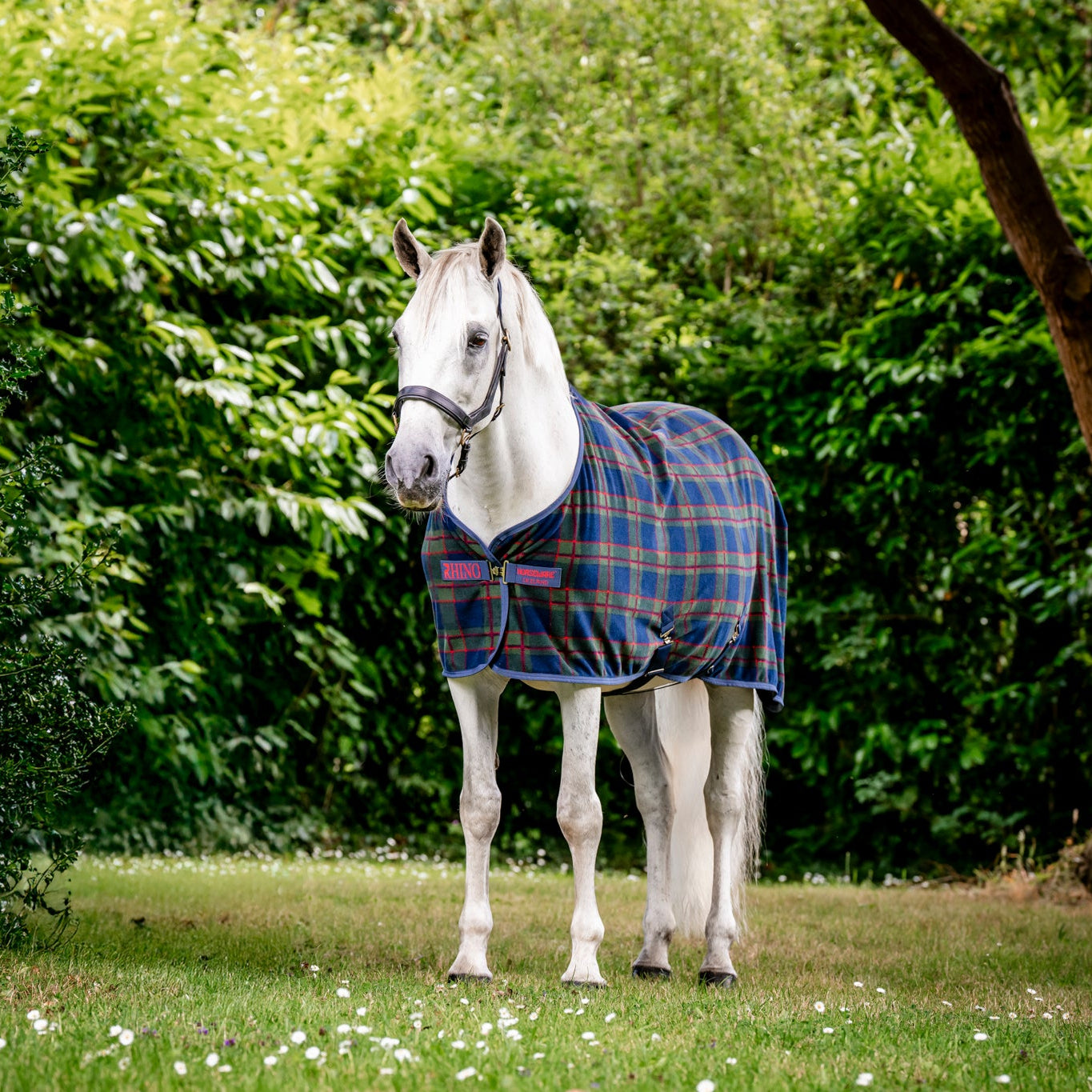 Rhino Check Fleece Cooler