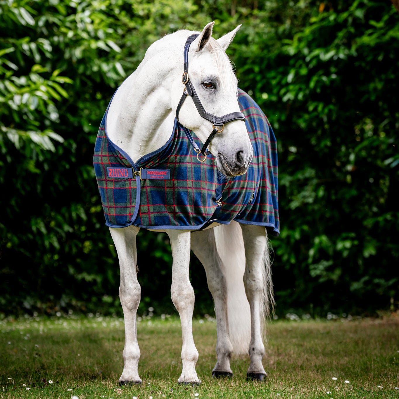 Rhino Check Fleece Cooler