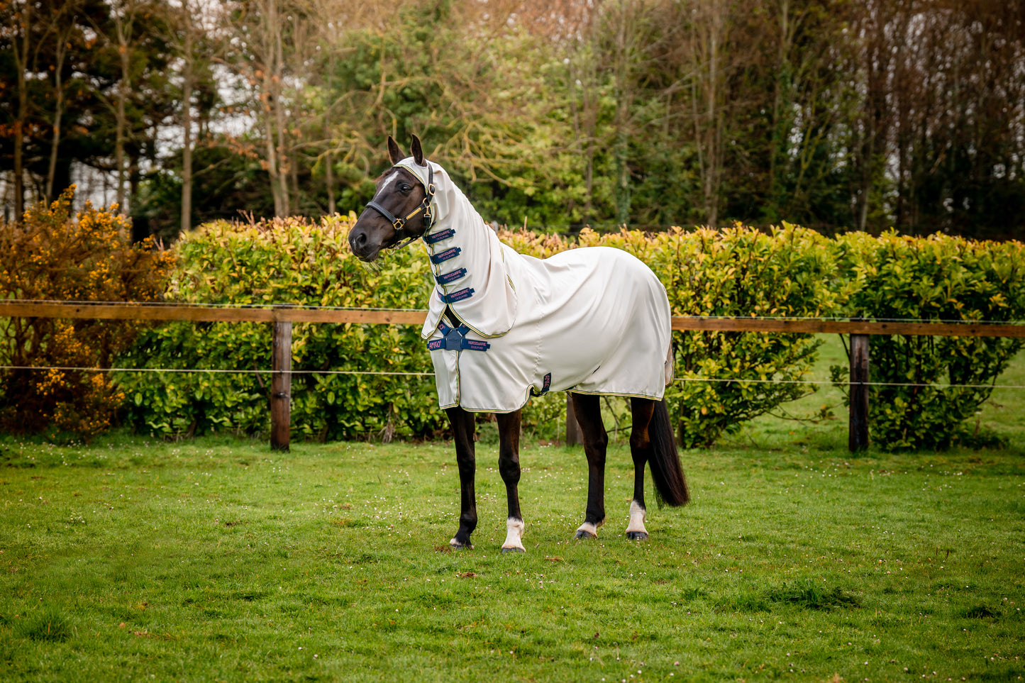 amigo ripstop hoody summer blanket for horses