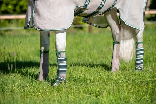 Horseware Flyboot