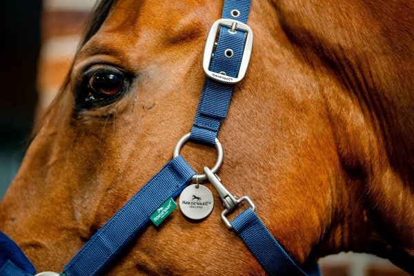 Horseware Signature Grooming Headcollar, Navy