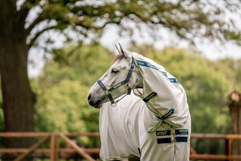 Field Safe Headcollar