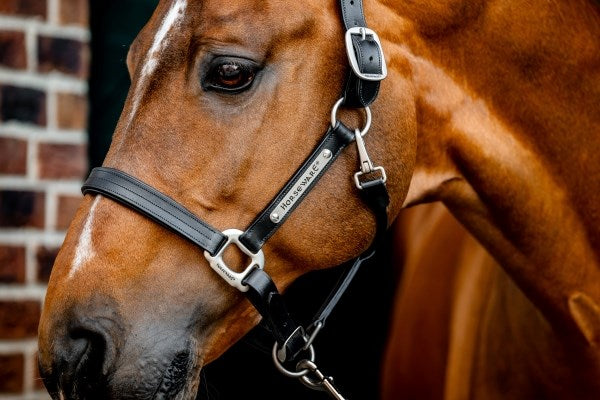 Horseware Signature Leather Headcollar, Black