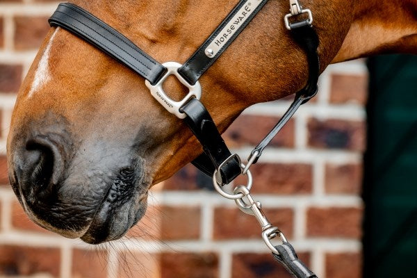 Horseware Signature Leather Headcollar, Black