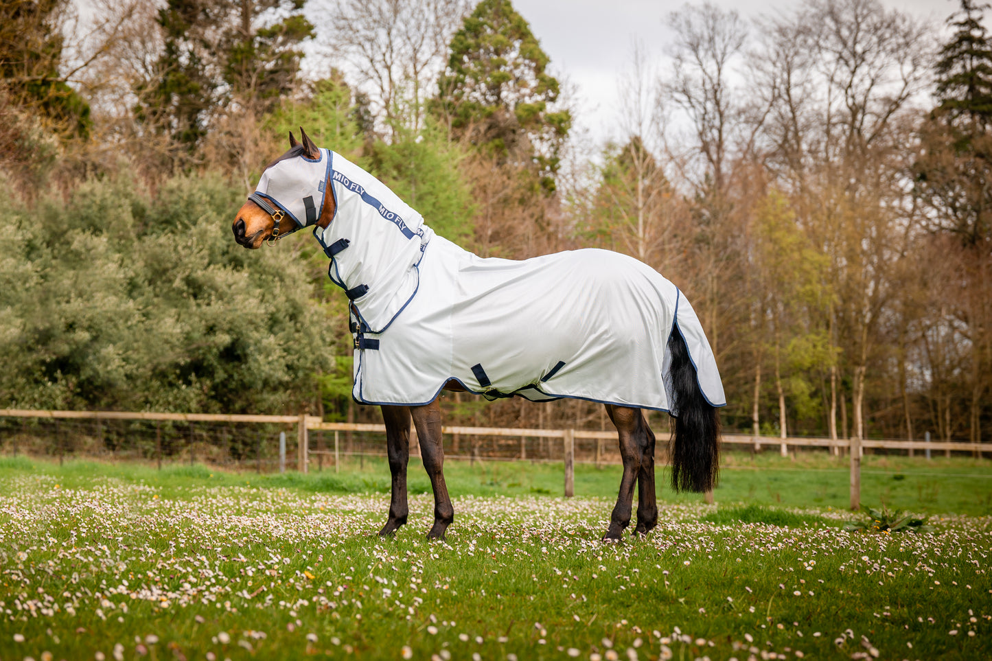 Mio Fly Rug